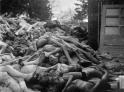 Did the Holocaust really happen?